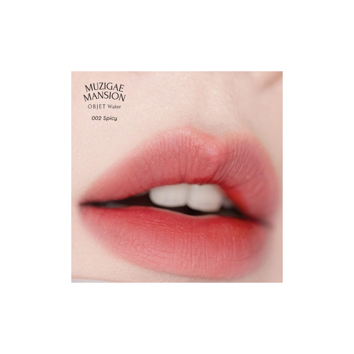 Muzigae Mansion Objet Water 002 Spicy Lip Tint 6 Ml | Bellasoa Paris