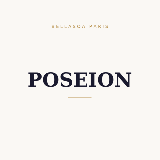 Poseion Shower Head BT100 Dg | Bellasoa Paris