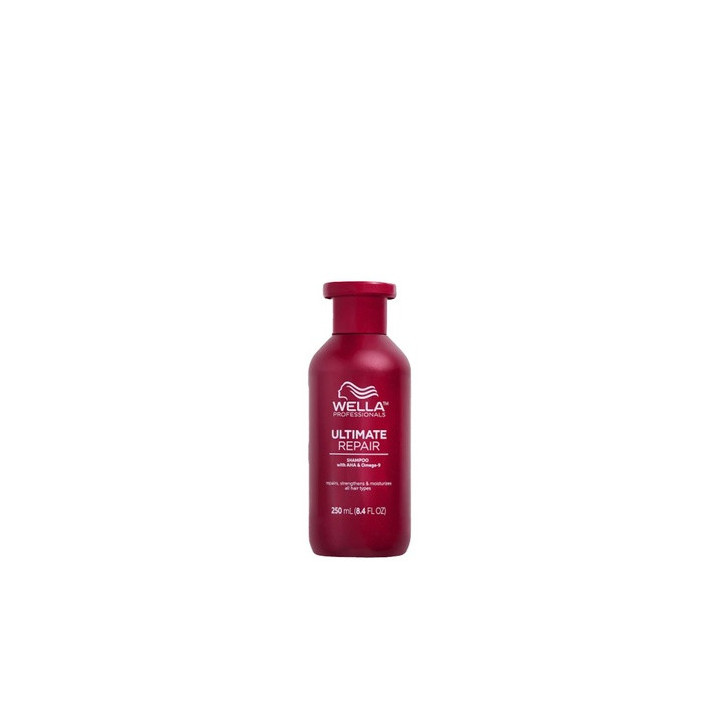 Wp — Shampoing, 250 ml | Bellasoa Paris