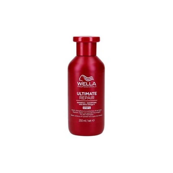 Wp — Shampoing, 250 ml | Bellasoa Paris