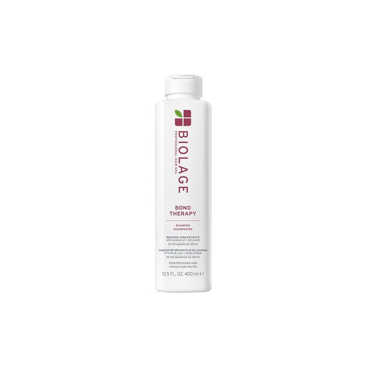 Bio — Shampoing, 400 ml | Bellasoa Paris