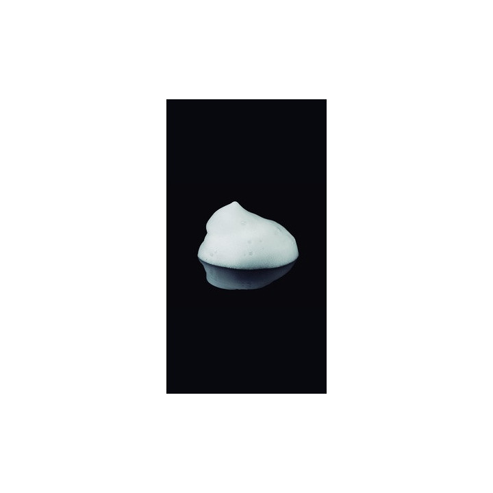 Rev Style Masters 1 Amplifier Mousse 300ML | Bellasoa Paris