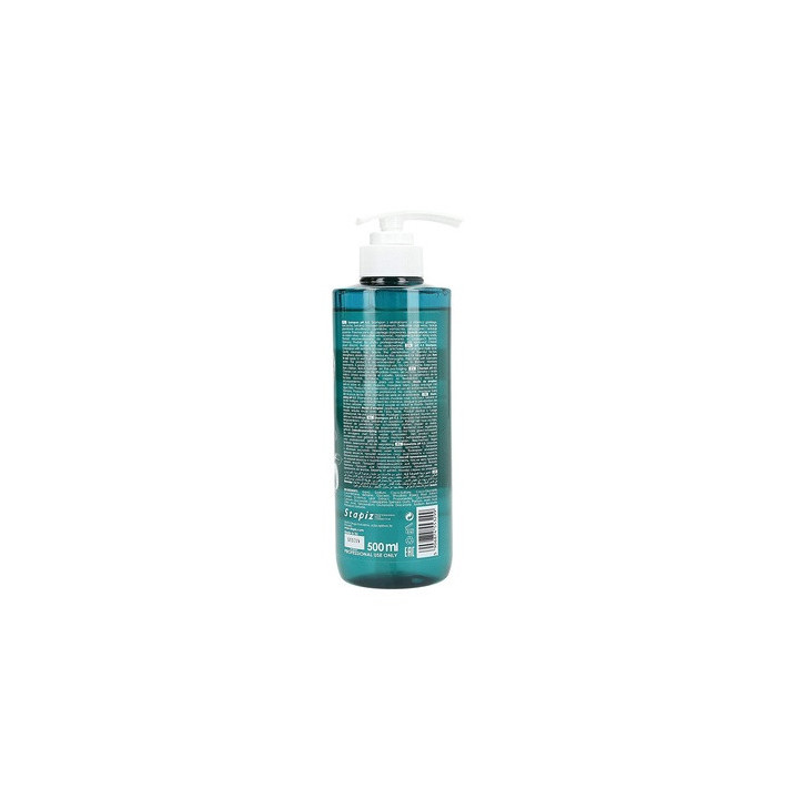 Stapiz Botanic Harmony Ph 4,5 Shampoo 500ML | Bellasoa Paris