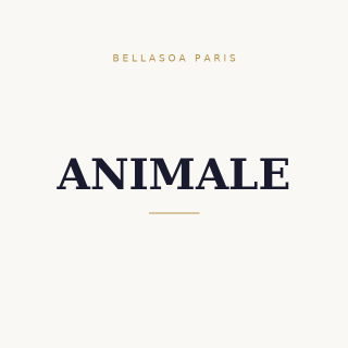 Animale Animale Women 200 Ml Eau De Parfum | Bellasoa Paris