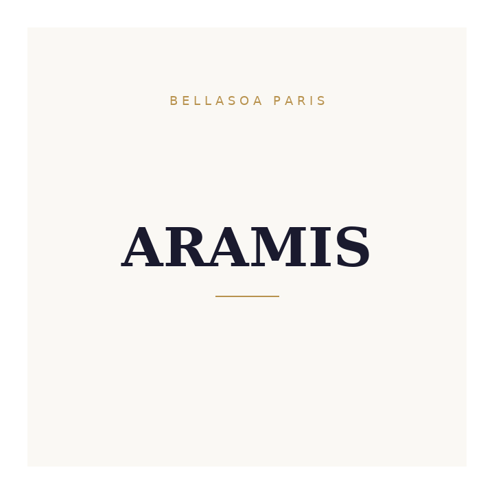 Aramis Aramis Men 110 Ml Eau De Toilette | Bellasoa Paris