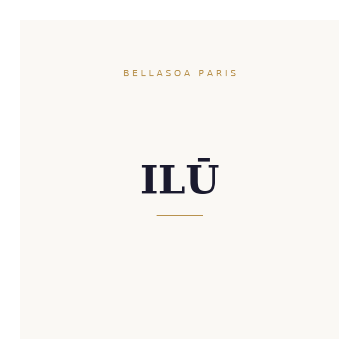 Ilu Mu 113 Flat Foundation Brush Pet | Bellasoa Paris