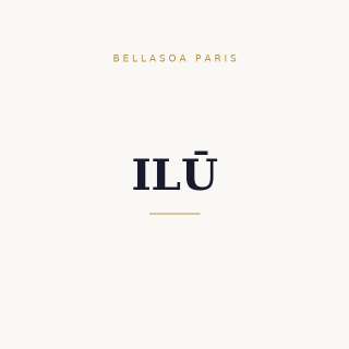 Ilu Mu Acc Brush Cleaner Orange Pet | Bellasoa Paris