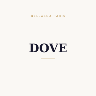 Dove Men + Care Deodorant Silver Control 50ml | Bellasoa Paris
