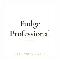Fudge Professional