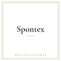 Spontex