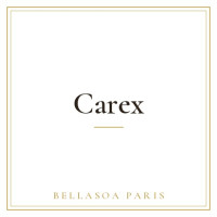 Carex